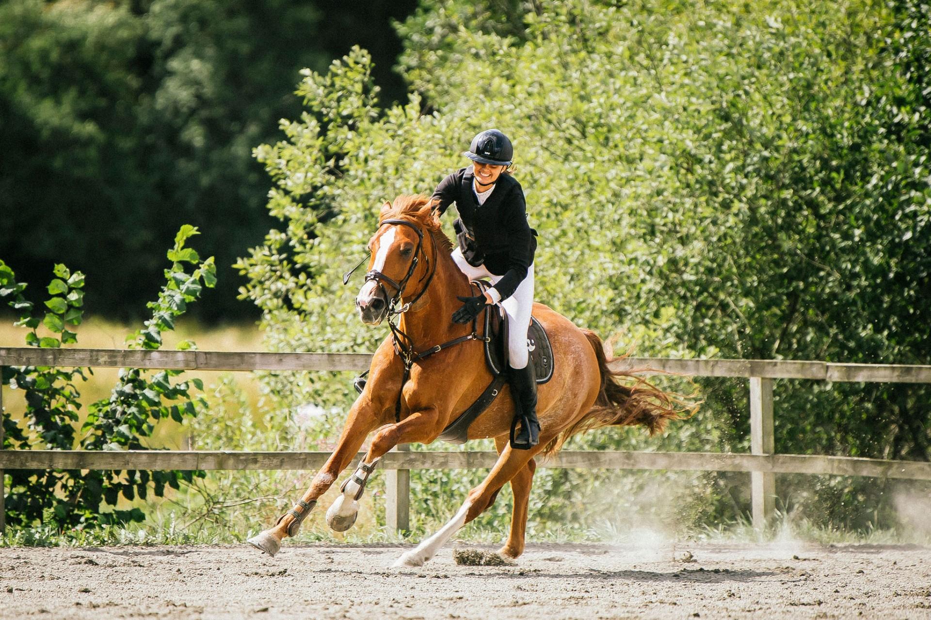 Ryttare i galopp på ridbana